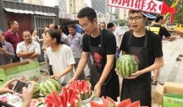 51朝阳吃瓜群众,揭秘吃瓜群众的幕后故事